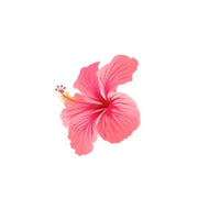 Amuse H2O Swimwear logo